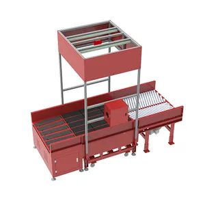 Express&Logistics Center Parcels Singulator/Singulation Equipment